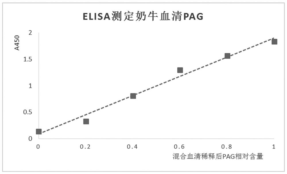 產(chǎn)生牛妊娠相關糖蛋白特異性單克隆抗體的小鼠雜交瘤細胞株、單克隆抗體、試劑盒及檢測